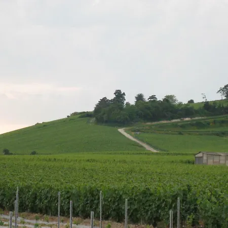 La D'amis La Costignieres Montgueux