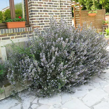 B&B La D'amis La Costignieres