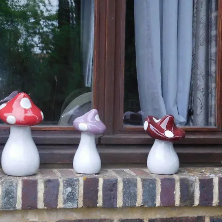 La D'amis La Costignieres B&B 4*