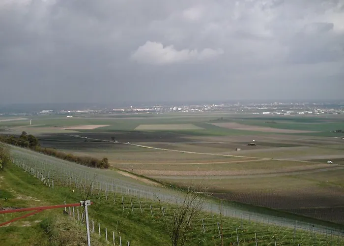 Bed & Breakfast La D'amis La Costignieres 4*