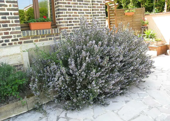 Bed & Breakfast La D'amis La Costignieres